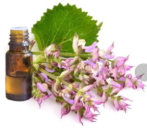 Clary Sage Oil