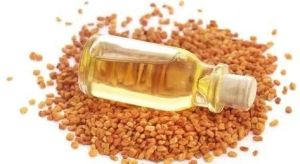 Fenugreek Seed Oil