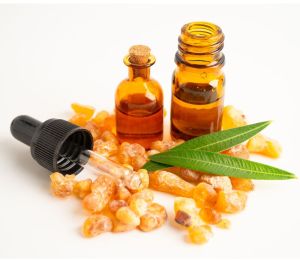 Olibanum Frankincense Oil