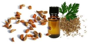 Parsley Seed Oil
