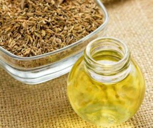 Steam Distilled Caraway Oil
