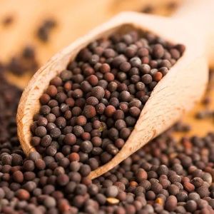 Brown Mustard Seeds