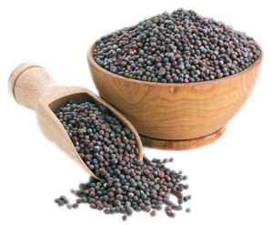 Black Mustard Seeds