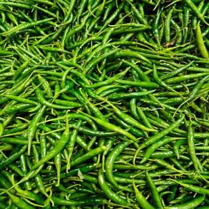 G4 Fresh Green Chilli