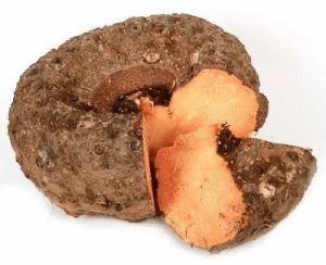 Elephant Foot Yam Suran
