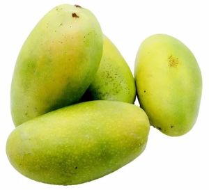 Fresh Dasheri Mango