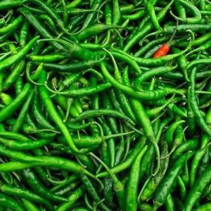 Fresh Indian Green Chilli