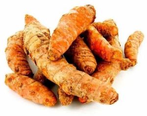 Fresh Turmeric Finger