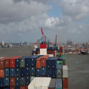 Customized Import Export Solutions & Sourcing Service