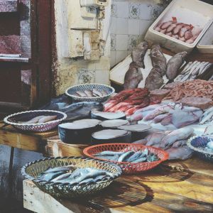 Fish & Seafood International Export Service