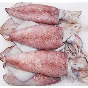 Frozen Cleaned Squid Seafood