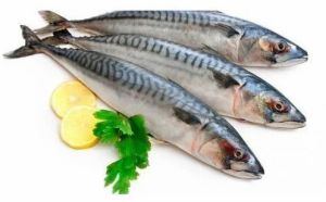 Frozen Whole Mackerel Fish
