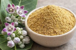 Aak Leaves Powder
