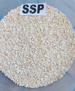 SSP Cashew Nut