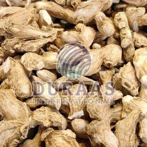 Dried Ginger