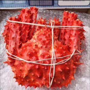King Crab