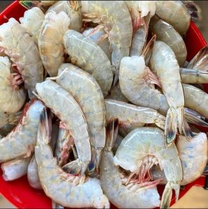 Shrimps