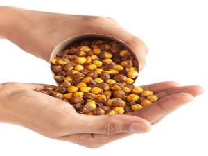 Whole Roasted Chana