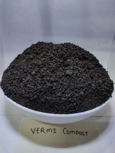 Cow Dung Manure