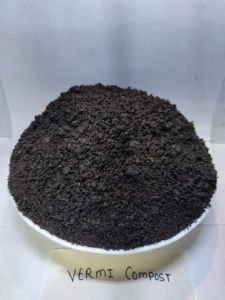 Cow Dung Manure