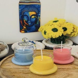 Glass Soy Wax Blend Bell Jar Candle