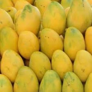 Natural Banginapalli Mango
