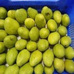 Natural Banginapalli Mango