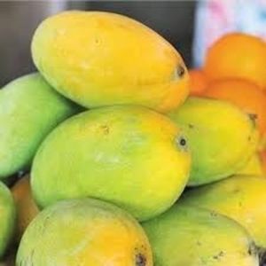 Natural Banginapalli Mango