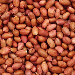 Organic Groundnut Seeds