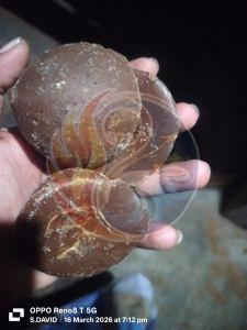 Natural Palm Jaggery Karupatti