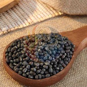 Whole Black Urad Dal