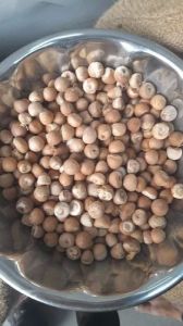 Betel Nuts
