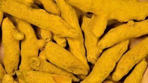 Turmeric Finger
