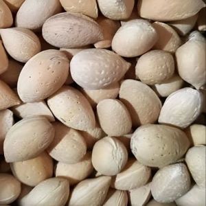 Almond Nuts