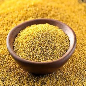 Yellow Mustard Seeds