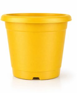 Round Green Plastic Flower Pot
