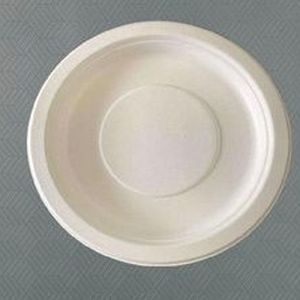 10nch Round Bagasse Plate