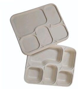 5CP Bagasse Meal Tray