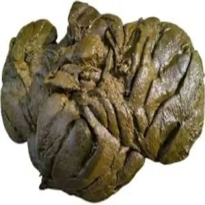 Fresh Cow Dung
