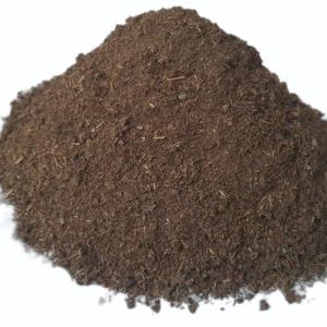 Cow Dung Manure
