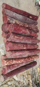 A Grade Red Sandalwood Logs