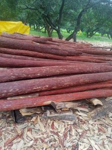 B Grade Red Sandalwood