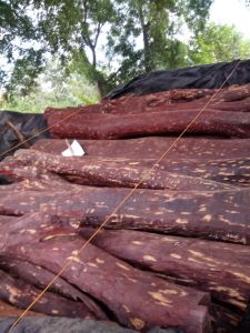 B Grade Red Sandalwood