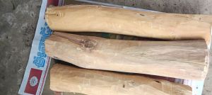 White Sandalwood Logs