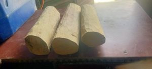 White Sandalwood Logs