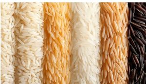 Rice