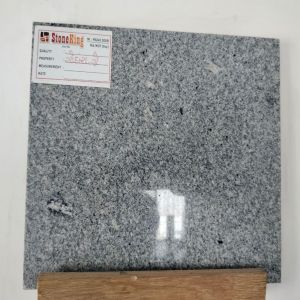 Godhra Grey Granite Slab