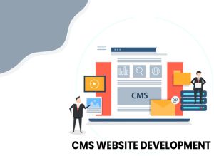 CMS Website Development Services