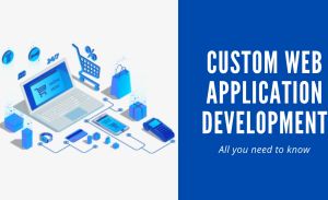 Custom Web Application Development Service