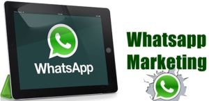 Whatsapp Marketing Service